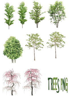 Trees png