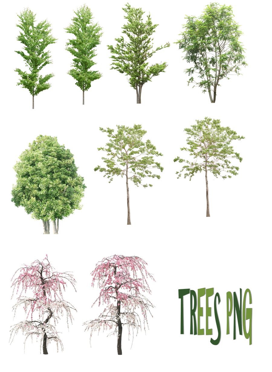 Retangular Tree Png Trees png by mysticmorning on DeviantArt