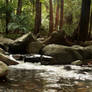 Forest Creek Background