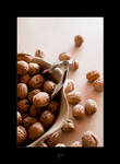 Nuts by LeTatou