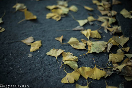 On sidewalk at birthday