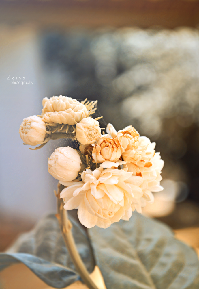 Bouquet with Bokeh