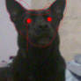 Demon dog