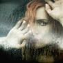 A World Behind Glass