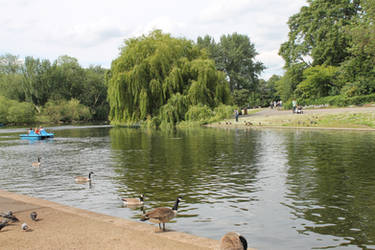 Regent's Park