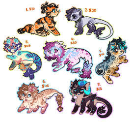 Lil 'Mara Adopts - 1/7 OPEN