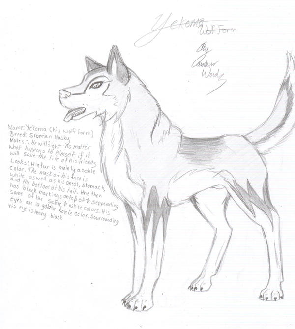 Wyyama Dog Yekoma-dog form- CharacterPg by Inume1551 on DeviantArt