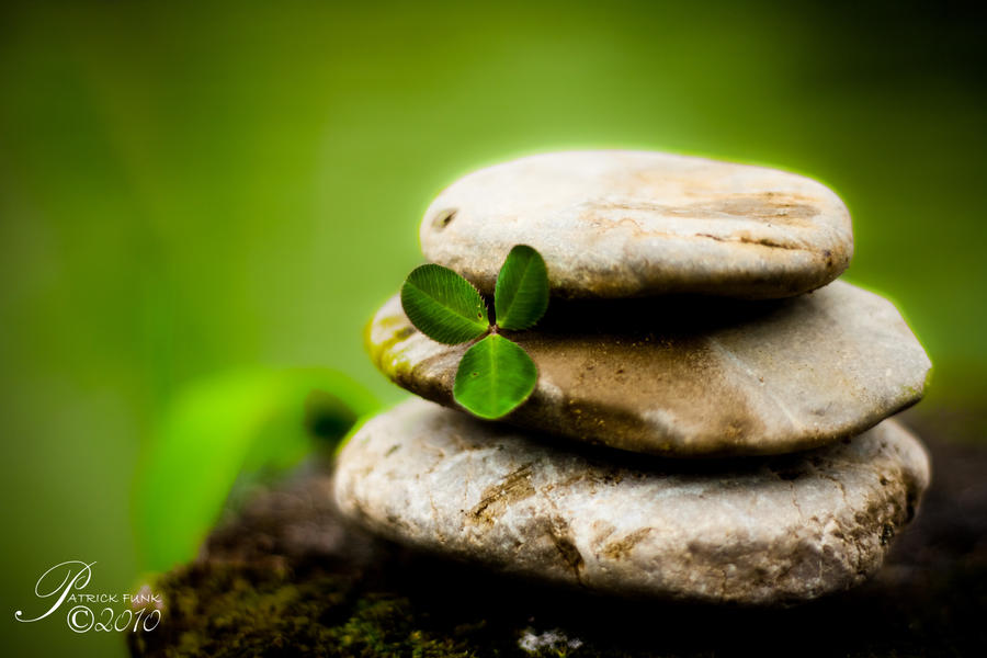 Fixed in stones by 89-RAW-89