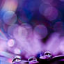 Drops in Bokeh