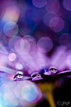 Drops in Bokeh