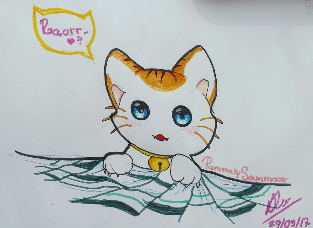 Kitten Rwar Kitten Raurr by MineSwordHTF on DeviantArt