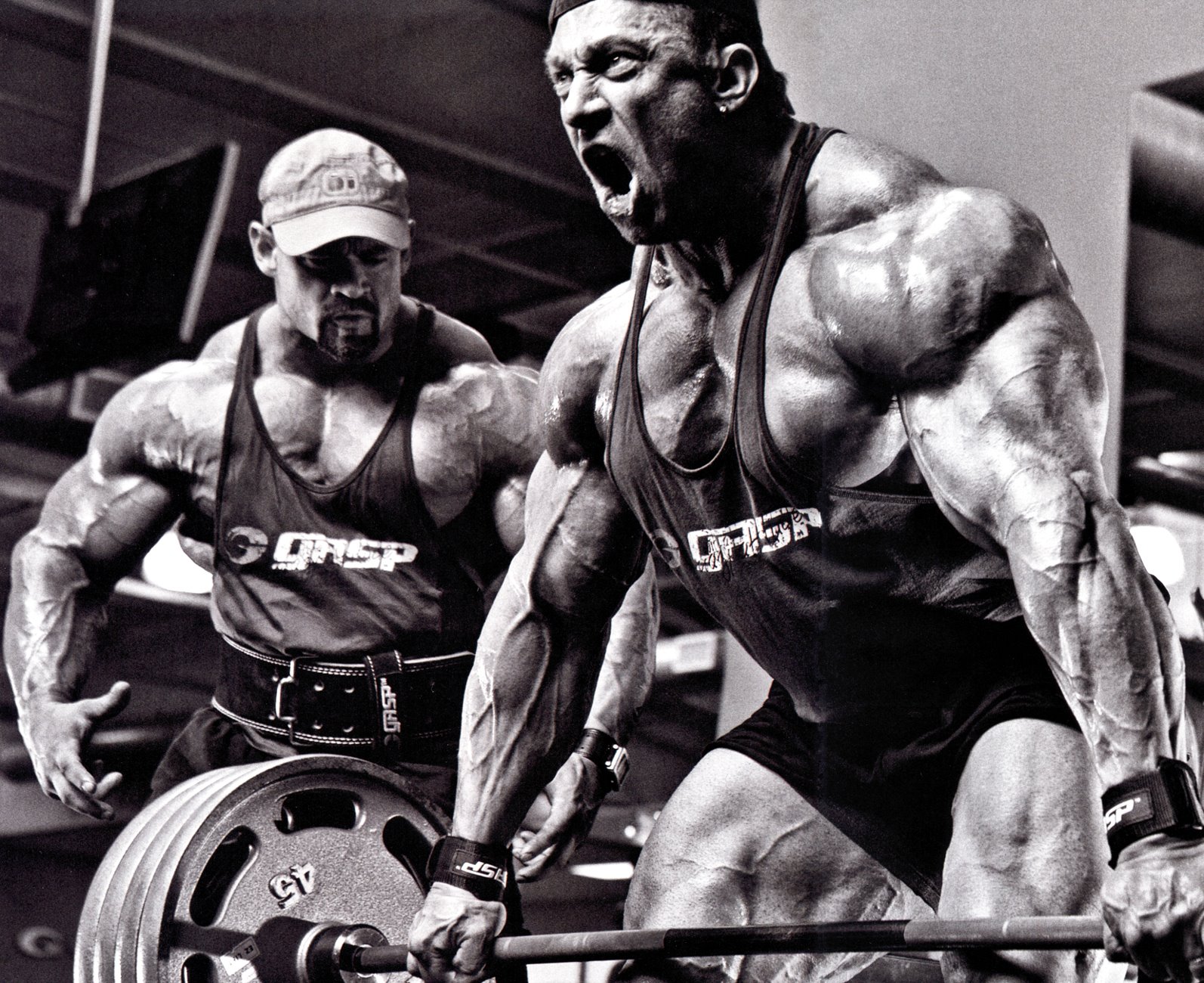 markus ruhl and branch warren wallpaper