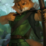 .: Robin Hood :.