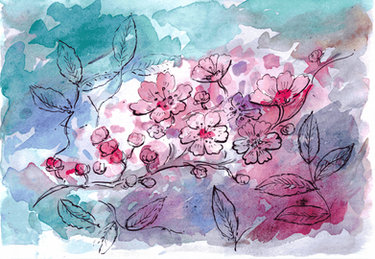Watercolor Cherry Blossom