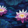 Water Lilies