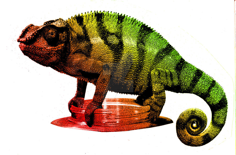 Tropical lizard by JusheC on DeviantArt