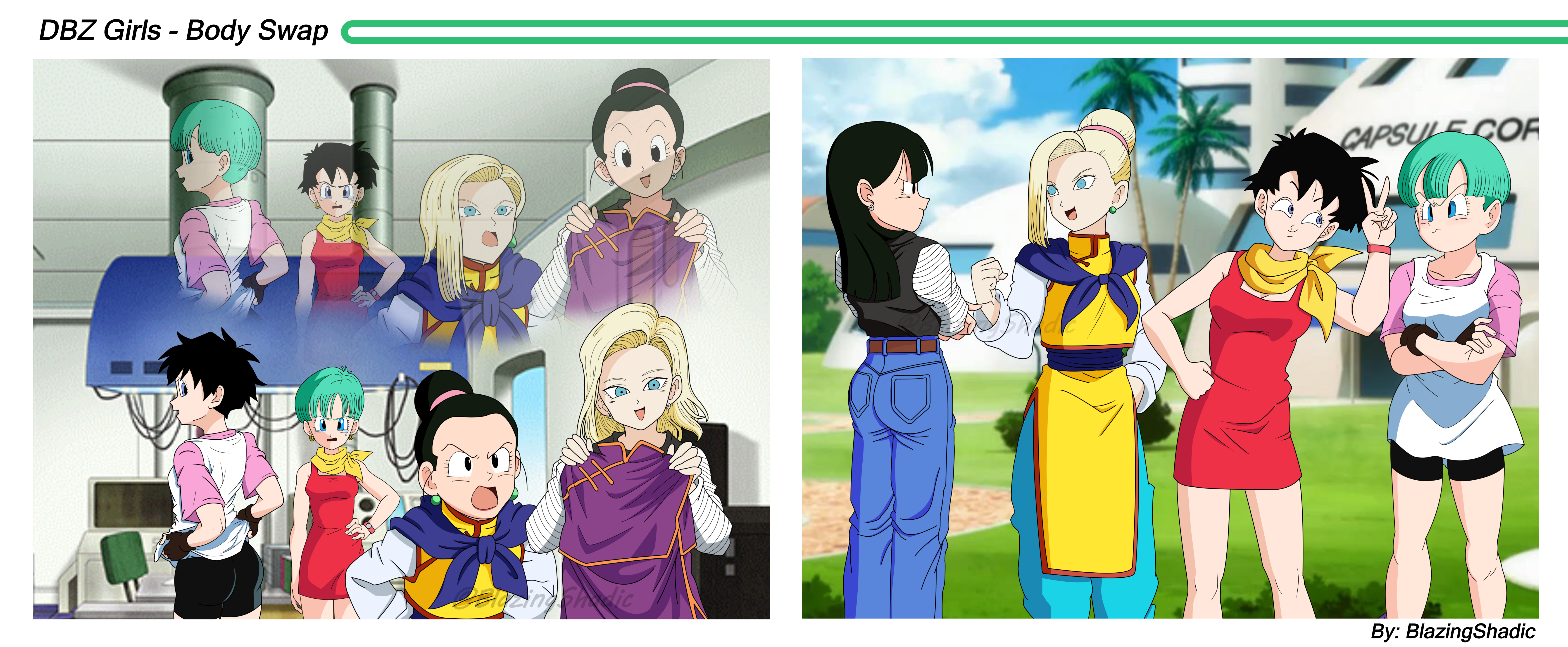 DBZ Girls Swap by BlazingShadic on DeviantArt