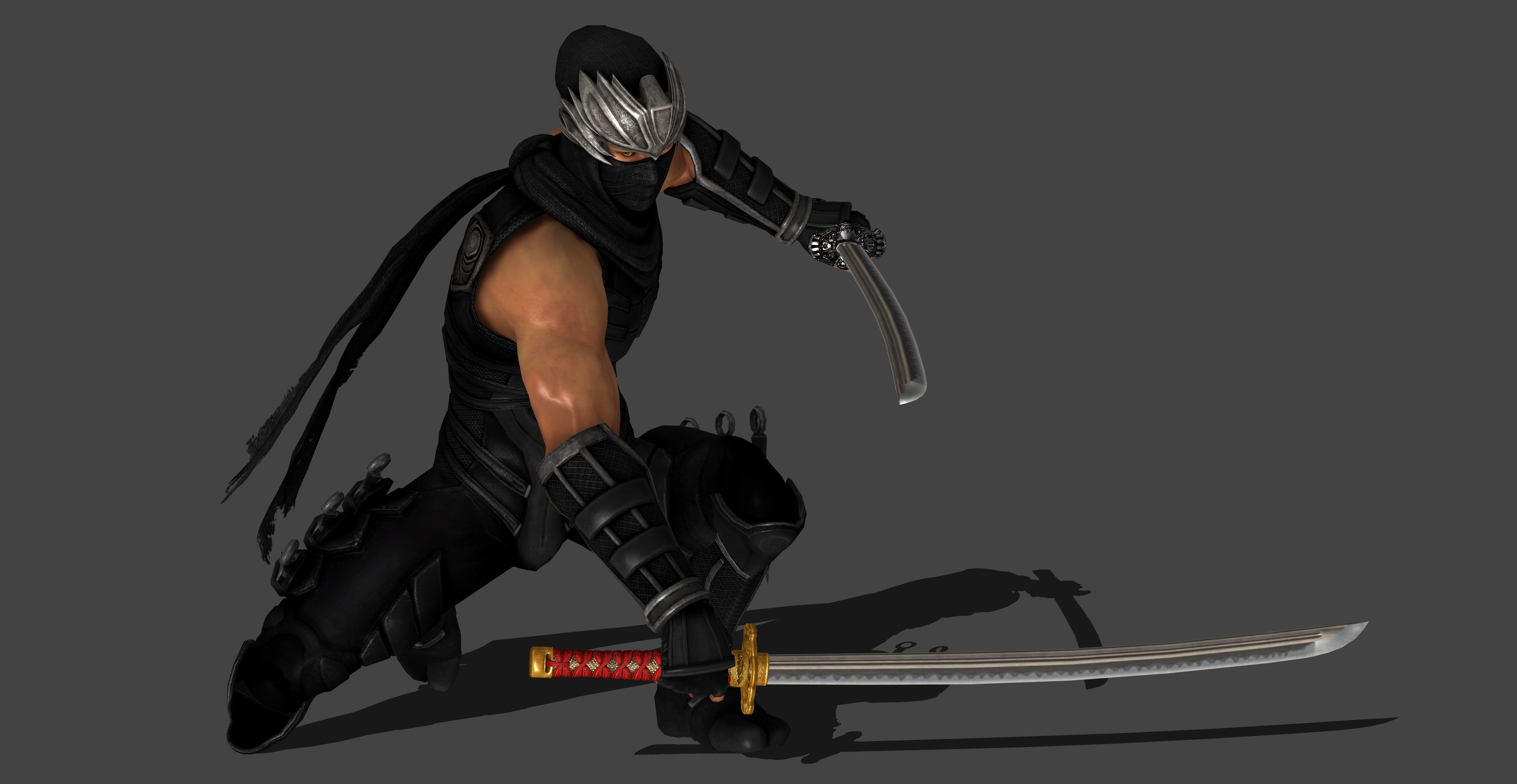 ninja gaiden unmasked images