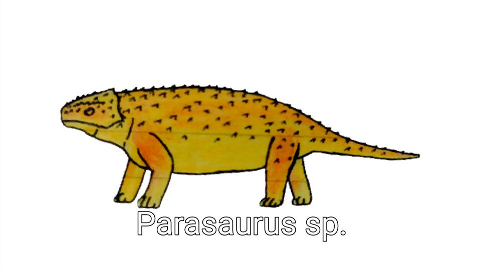 Parasaurus von Meyer, 1857. by ProyectoArrae on DeviantArt