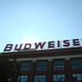 Budweiser