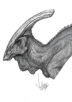 Charonosaurus jiayinensis