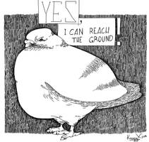 The Fat Pigeon