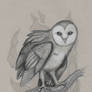 Original Drawing: Owl (Etsy)