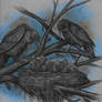 Original Drawing: Raven Family