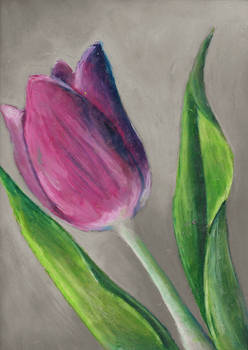 Original Oil Pastel Drawing: Tulip (Etsy)