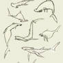 Hammerhead Shark