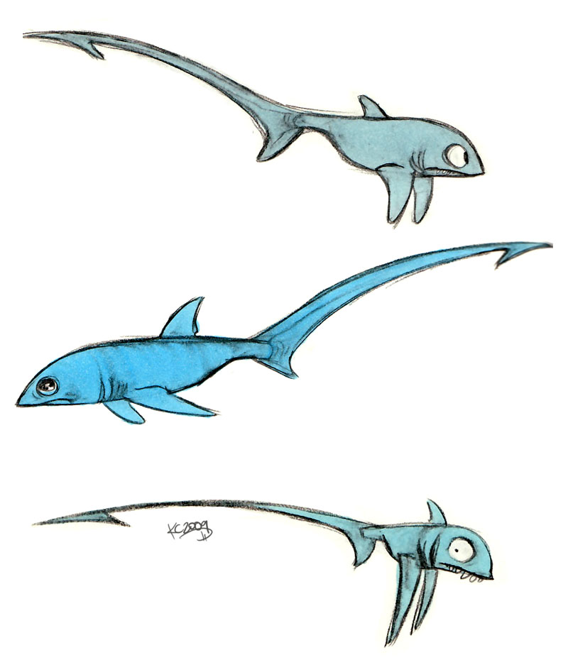 Thresher sharks