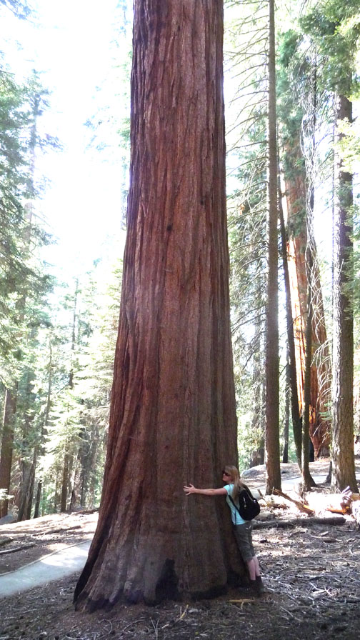 Tree hugging hippie