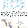 Horse development