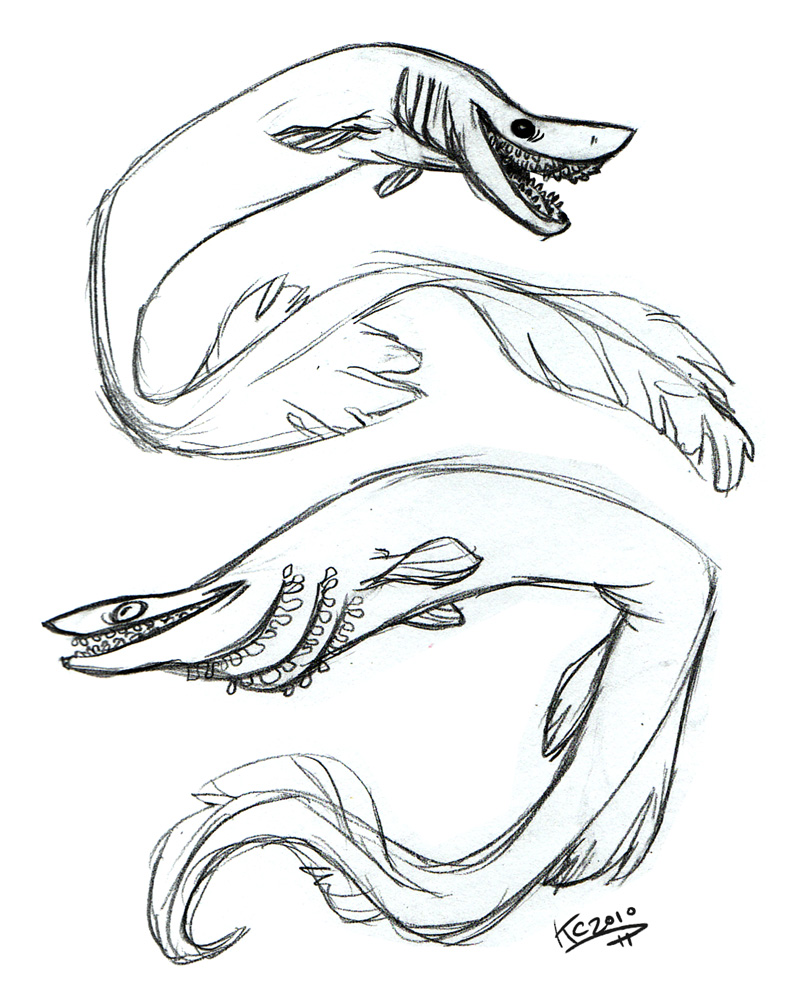 Frilled Shark