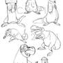 Dinonaut studies