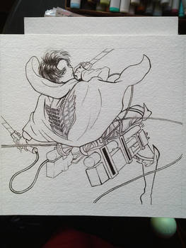 LEVI