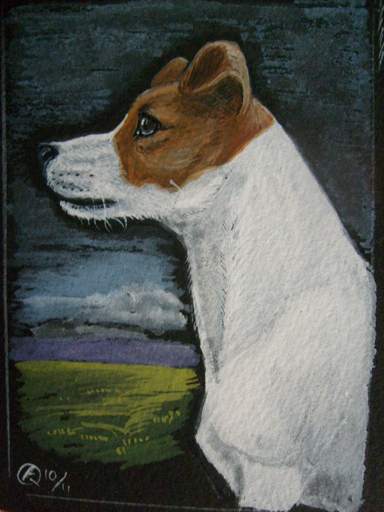 Portrait of a Jack Russell