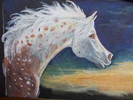 Spotted horse sunrise ACEO