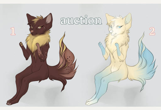Foxes/Auction (SOLD)