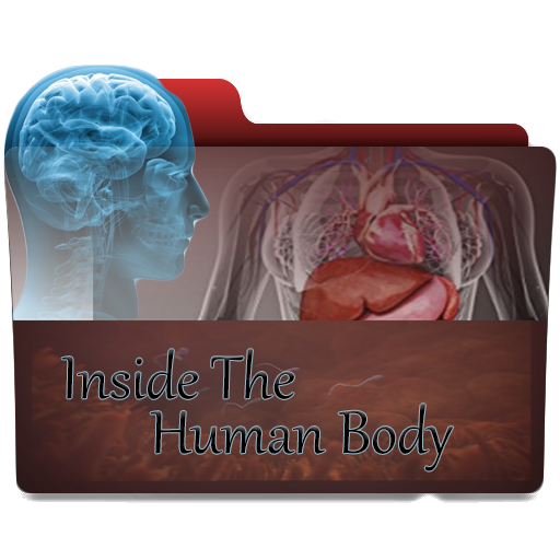 Inside The Human Body Folder Icon by Abdullah3Afify on DeviantArt