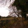 Country Lane 01