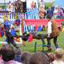 Jousting - Injured Knight 38