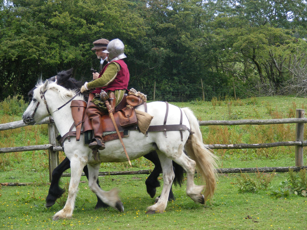 Border Reiver 07 by Axy-stock on DeviantArt