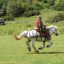 Border Reiver 23