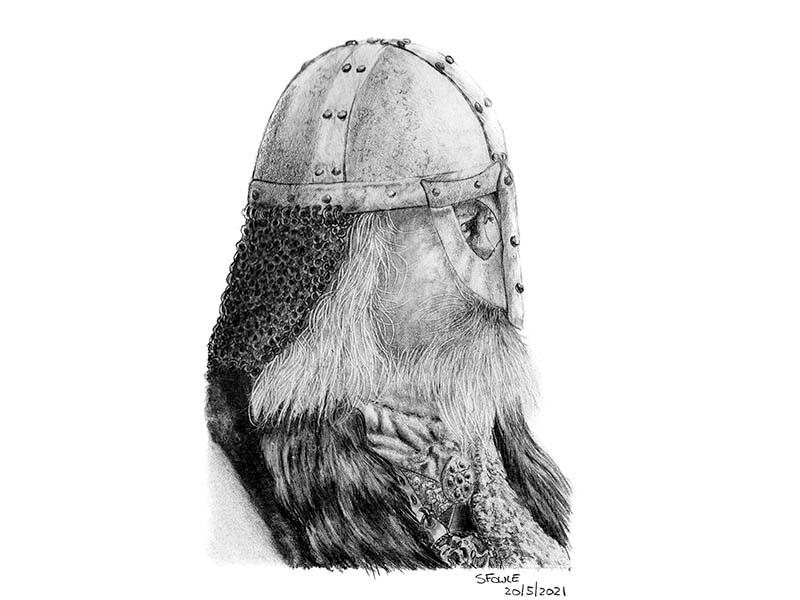 Viking Study