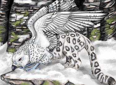 Wild mountain gryphon