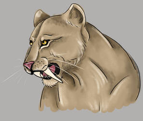 Sabre Lion