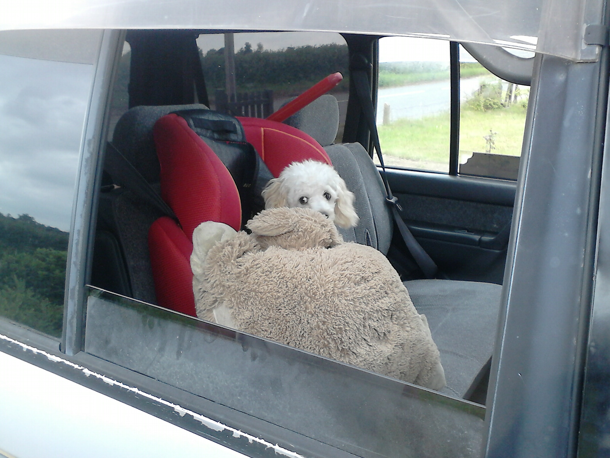 Snuggled in the car