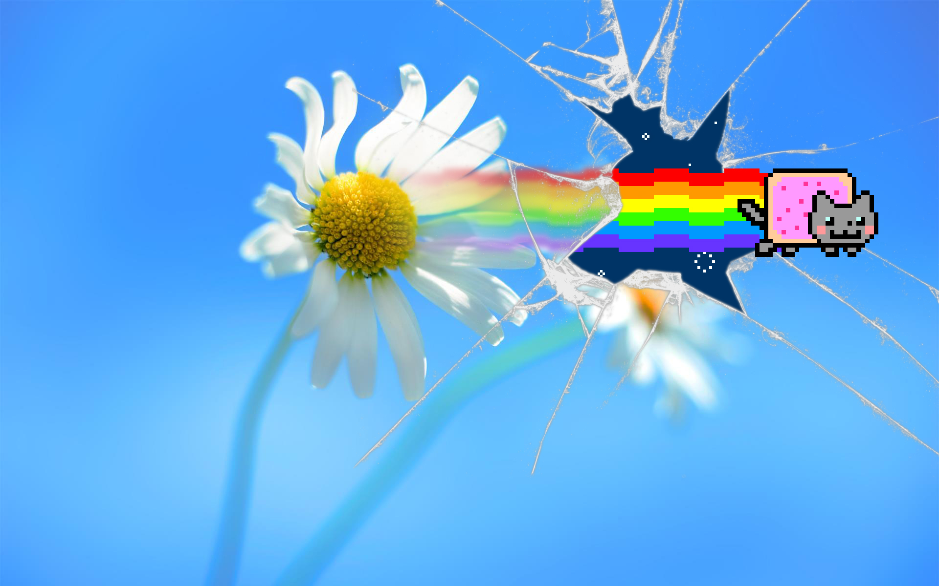 Nyan Cat ''Windows 8'' Wallpaper