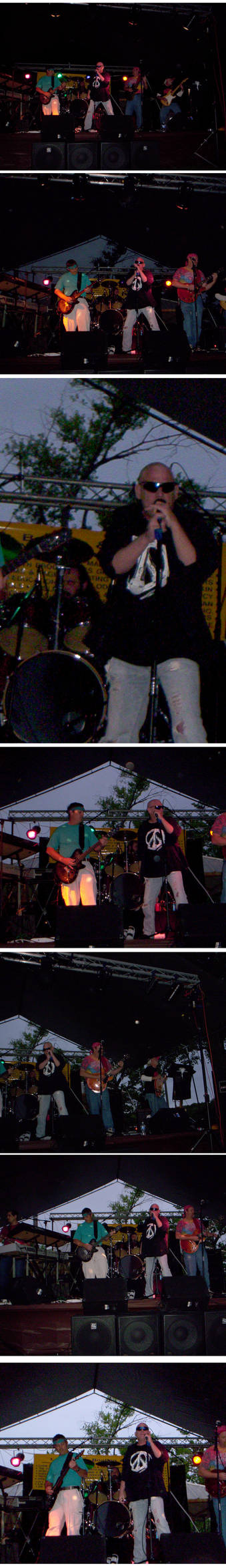 Bands for Cans Concert Pics by Darkmir